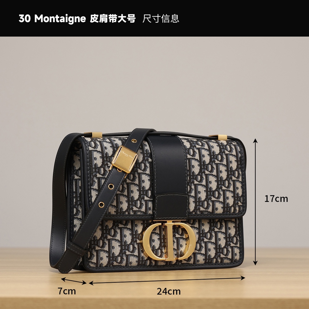 dior 30 Montaigne 백  M9203UTZQ_M928 25 x 16.5 x 8cm