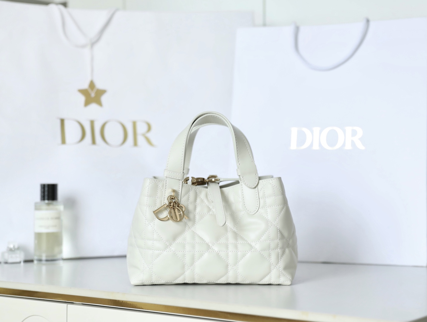 디올 Toujours 스몰백 23 x 14 x 12 cm